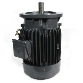 Total Polishing Systems TPSX1MOTOR Replacement Motor For TPSX1